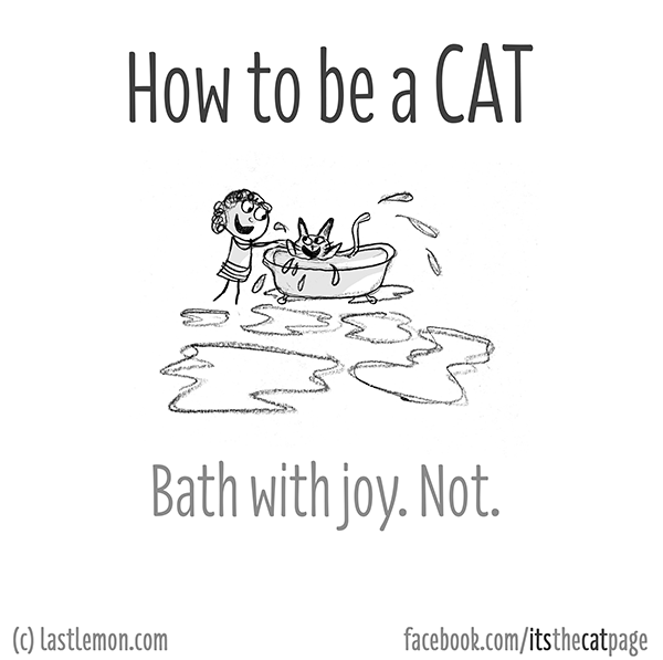 Cats...: How to be a cat