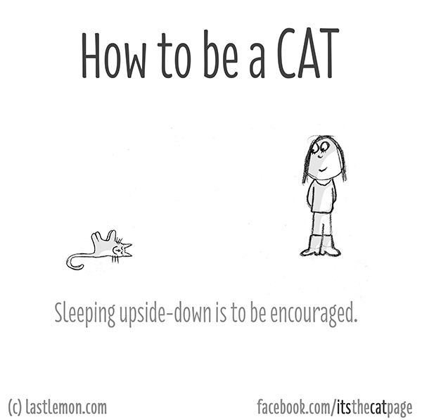 Cats...: How to be a cat