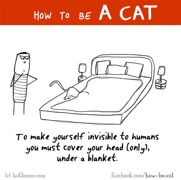 Cats...: HOW TO BE A CAT: To make yourself invisible to humans you must cover your head (only), under a blanket.