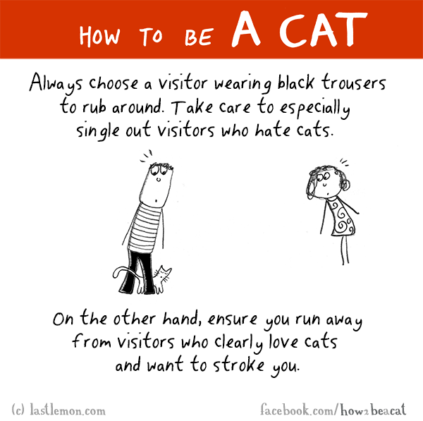 Cats...: HOW TO BE A CAT: Always choose a visitor wearing black trousers to rub around. Take care to especially single out visitors who hate cats. On the other hand, ensure you run away from visitors who clearly love cats and want to stroke you.