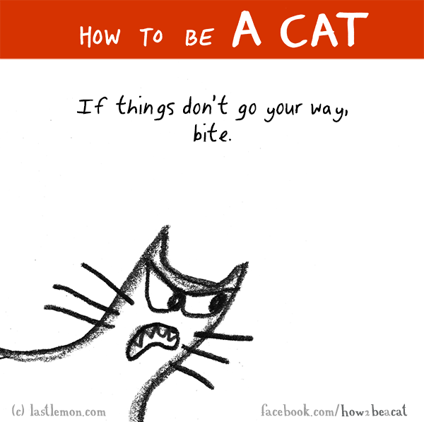 Cats...: HOW TO BE A CAT: If things don’t go your way, bite.