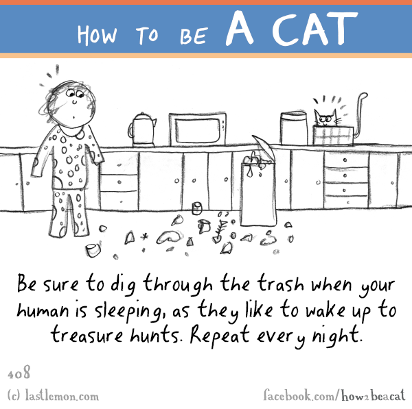 Cats...: HOW TO BE A CAT: Be sure to dig through the trash when your human is sleeping, as they like to wake up to treasure hunts. Repeat every night.