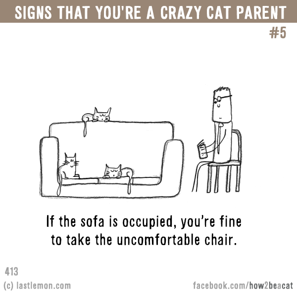 Cats...: Signs that you’re a CRAZY CAT PARENT #5: If the sofa is occupied, you’re fine to take the uncomfortable chair.