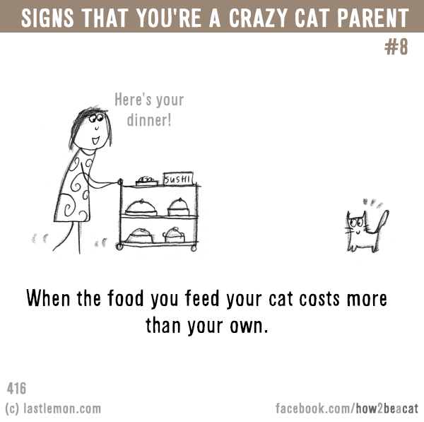 Cats...: Signs that you’re a CRAZY CAT PARENT #8: When the food you feed your cat costs more than your own.
