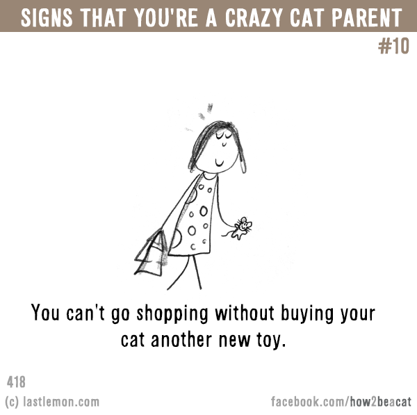 Cats...: Signs that you’re a CRAZY CAT PARENT #10: You can't go shopping without buying your cat another new toy.