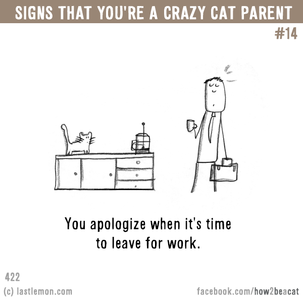 Cats...: Signs that you’re a CRAZY CAT PARENT #14: You watch a TV show specifically for your cat's enjoyment, not your own.