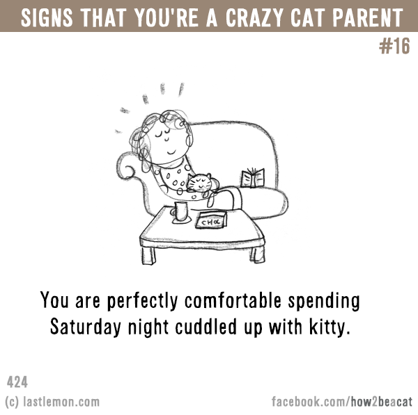 Cats...: Signs that you’re a CRAZY CAT PARENT #16: You are perfectly comfortable spending Saturday night cuddled up with kitty.