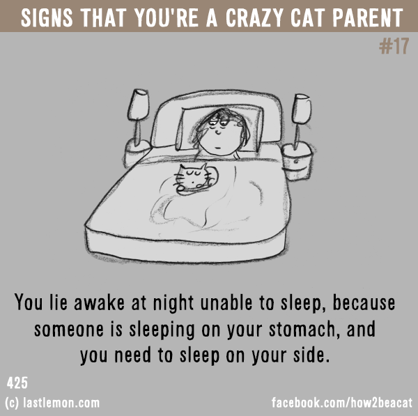 Cats...: Signs that you’re a CRAZY CAT PARENT #17: You lie awake at night unable to sleep, because someone is sleeping on your stomach, and  you need to sleep on your side.
