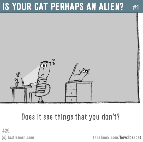 Cats...: IS YOUR CAT PERHAPS AN ALIEN? #1: Does it see things that you don't?