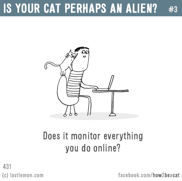 Cats...: IS YOUR CAT PERHAPS AN ALIEN? #3: Does it monitor everything you do online?