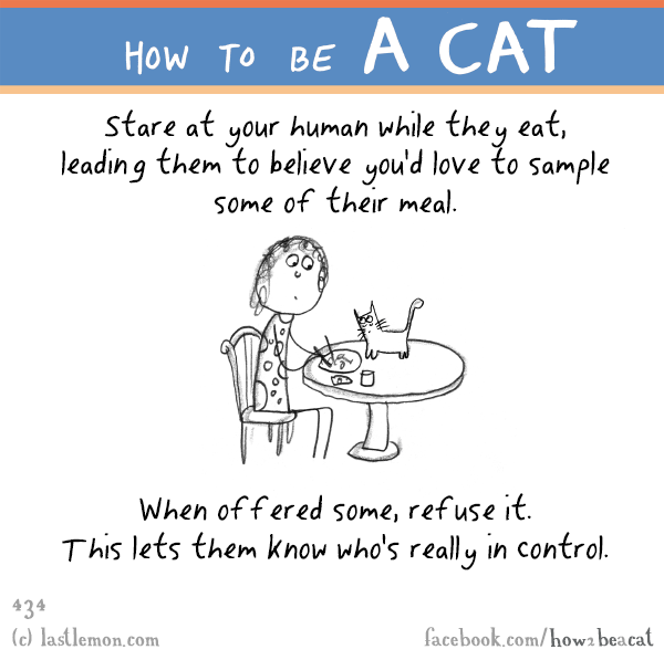 Cats...: Stare at your human while they eat, leading them to believe you'd love to sample some of their meal. When offered some, refuse it. This lets them know who's really in control.