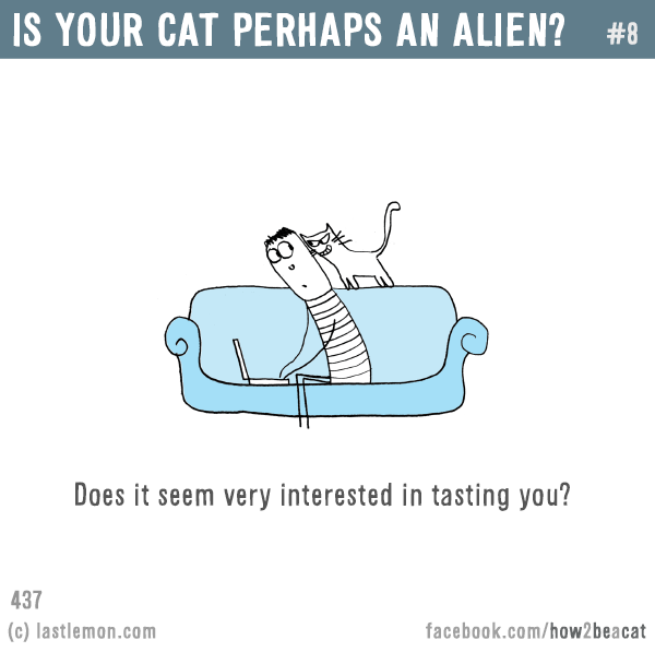 Cats...: IS YOUR CAT PERHAPS AN ALIEN? Does it seem very interested in tasting you?
