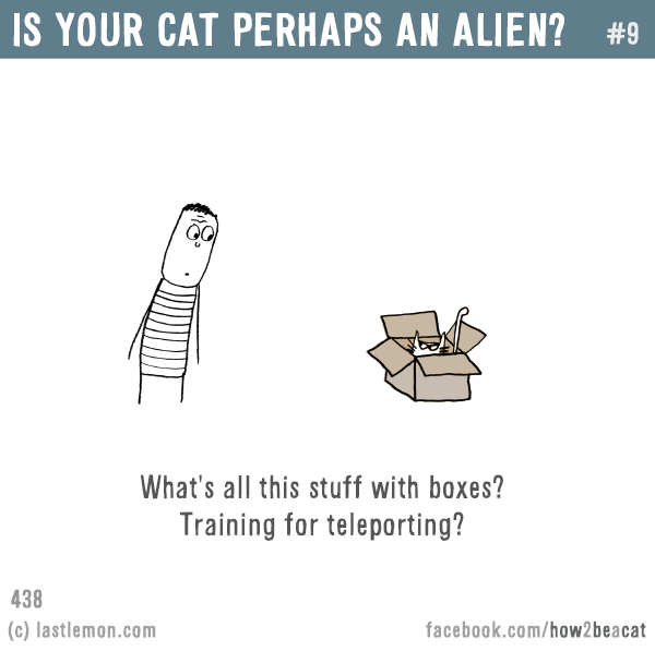 Cats...: IS YOUR CAT PERHAPS AN ALIEN? What's all this stuff with boxes? Training for teleporting?