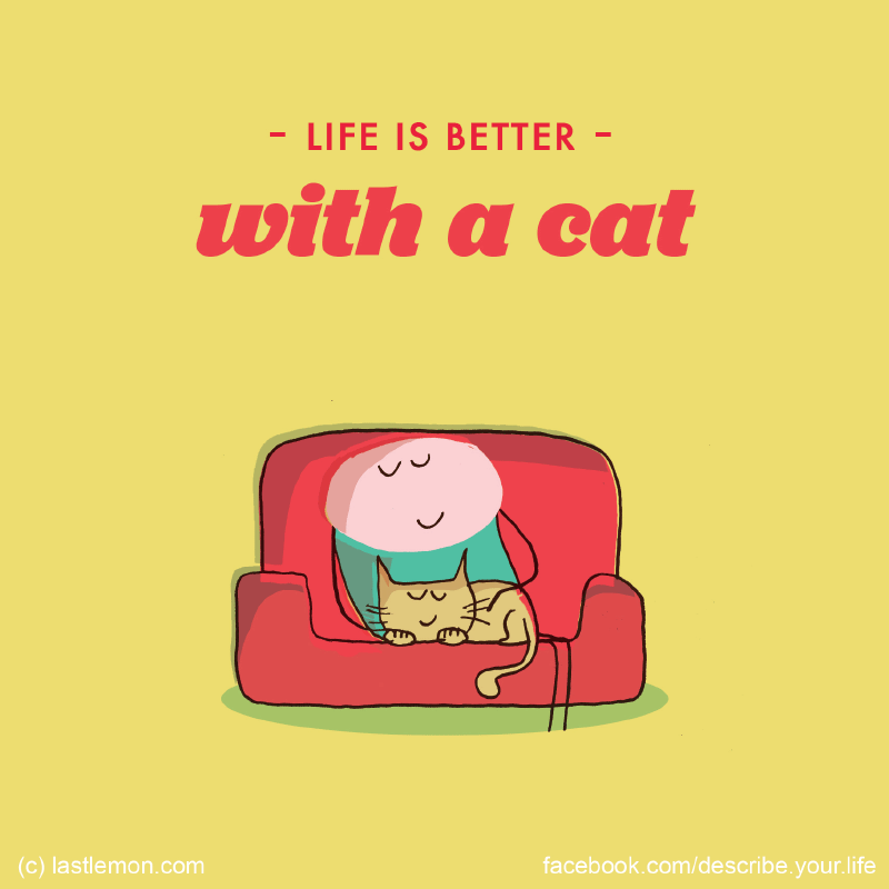 Life...: Life is better with a cat