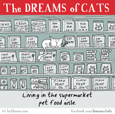 Cats...: THE DREAMS OF CATS: Living in the supermarket's pet food aisle