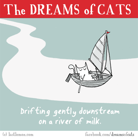 Cats...: THE DREAMS OF CATS: Drifting gently downstream on a river of milk