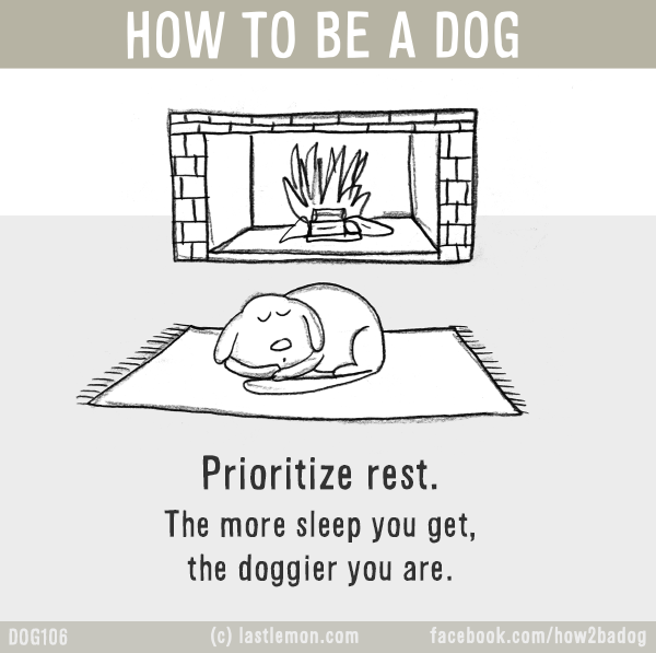 Dogs...: HOW TO BE A DOG: Prioritize rest. The more sleep you get, the doggier you are.