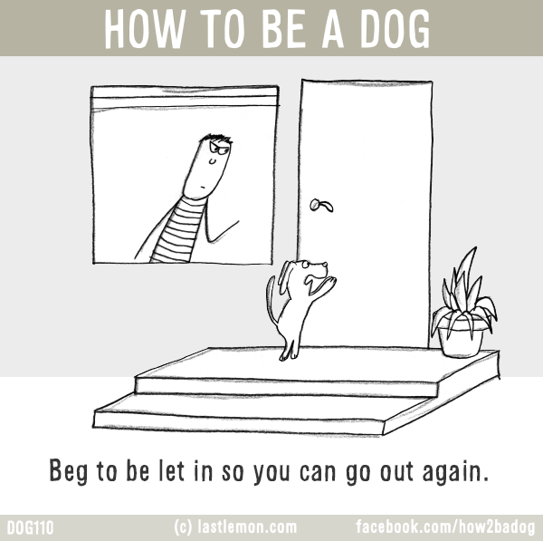 Dogs...: HOW TO BE A DOG: Beg to be let in so you can go out again.