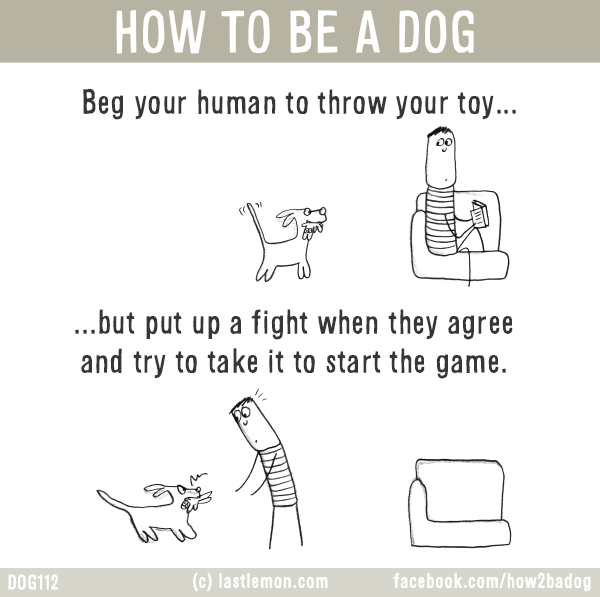 Dogs...: HOW TO BE A DOG: Beg your human to throw your toy...but put up a fight when they agree and try to take it to start the game.