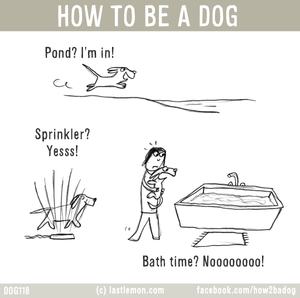 Dogs...: HOW TO BE A DOG: Pond? I'm in! Sprinkler? Yesss! Bath time? Noooooooo!