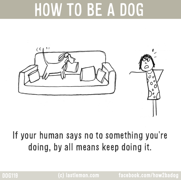 Dogs...: HOW TO BE A DOG: If your human says no to something you're doing, by all means keep doing it.