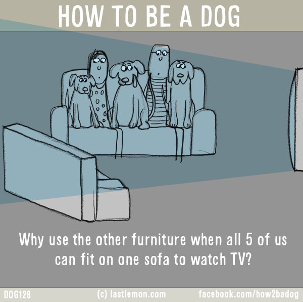 Dogs...: HOW TO BE A DOG: Why use the other furniture when all 5 of us can fit on one sofa to watch TV?