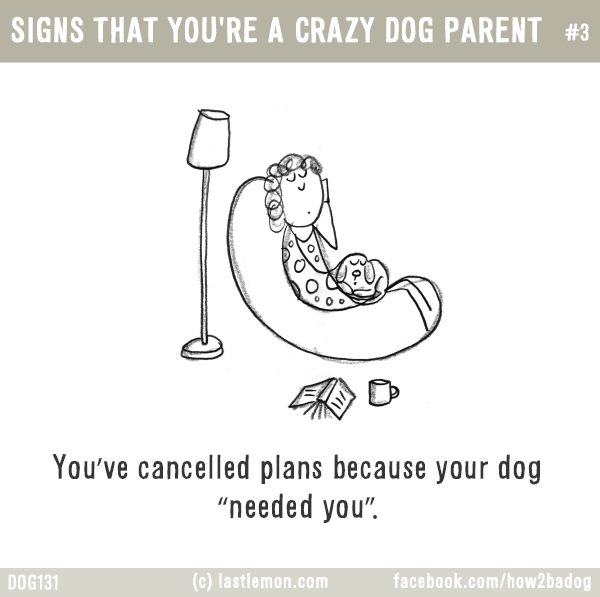 Dogs...: SIGNS THAT YOU'RE A CRAZY DOG PARENT #3: You’ve cancelled plans because your dog “needed you”.