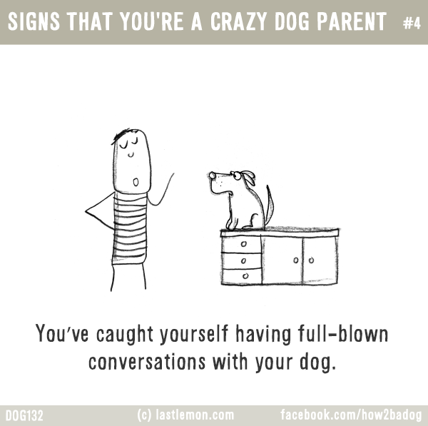 Dogs...: SIGNS THAT YOU'RE A CRAZY DOG PARENT #4: You’ve caught yourself having full-blown conversations with your dog.