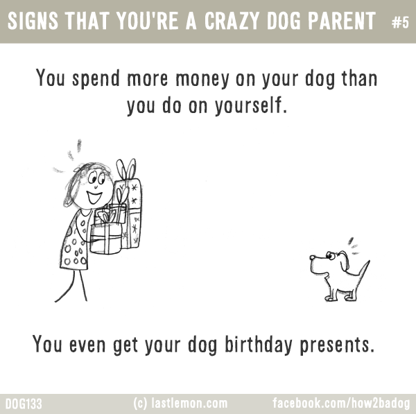 Dogs...: SIGNS THAT YOU'RE A CRAZY DOG PARENT #5: You spend more money on your dog than you do on yourself. You even get your dog birthday presents.