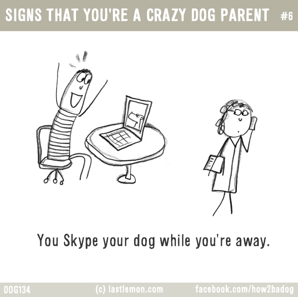 Dogs...: SIGNS THAT YOU'RE A CRAZY DOG PARENT #6: You Skype your dog while you're away.