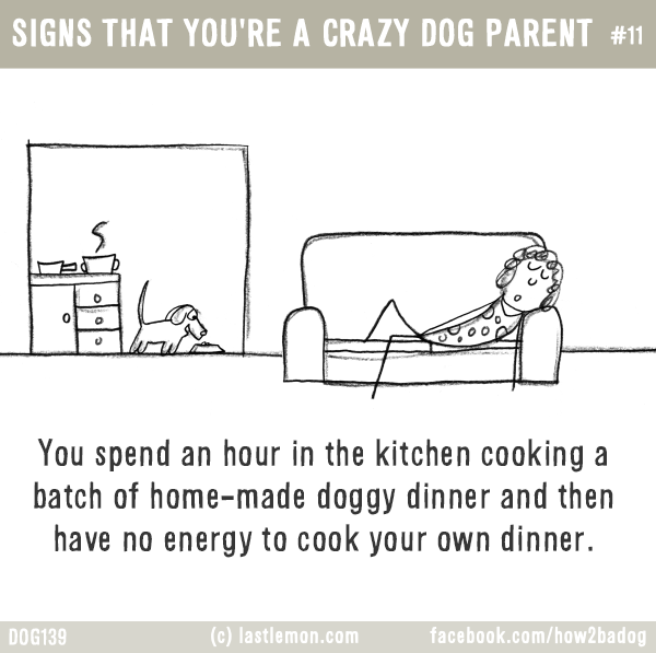 Dogs...: SIGNS THAT YOU'RE A CRAZY DOG PARENT #11: You spend an hour in the kitchen cooking a batch of home-made doggy dinner and then have no energy to cook your own dinner.
