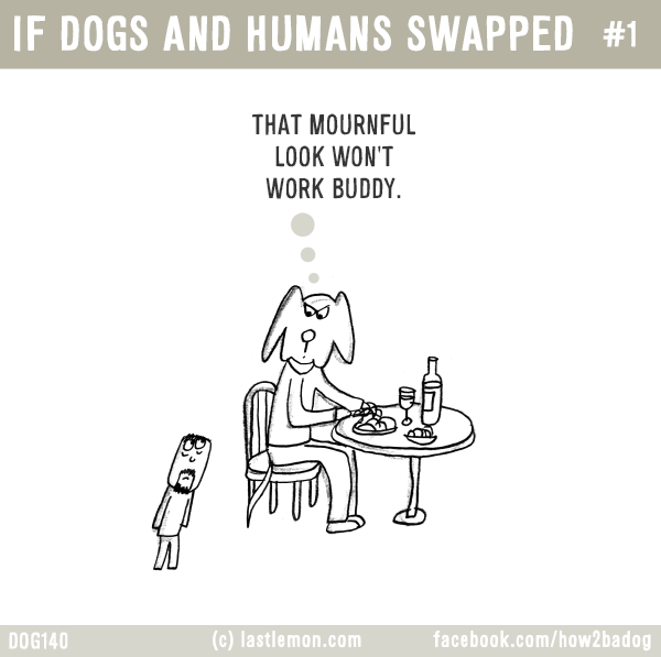 Dogs...: IF DOGS AND HUMANS SWAPPED #1: THAT MOURNFUL LOOK WON'T WORK BUDDY.
