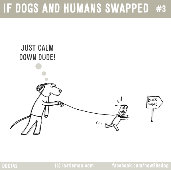 Dogs...: IF DOGS AND HUMANS SWAPPED #3: JUST CALM DOWN DUDE!