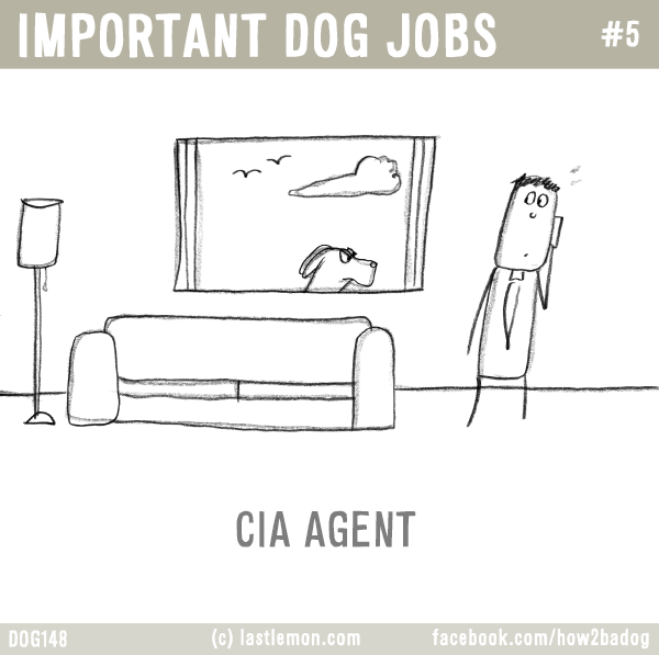 Dogs...: IMPORTANT DOG JOBS #5: CIA AGENT