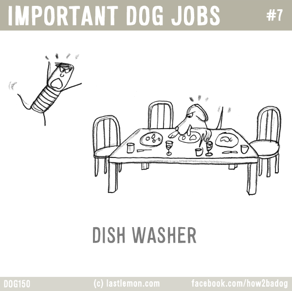 Dogs...: IMPORTANT DOG JOBS #7: DISH WASHER