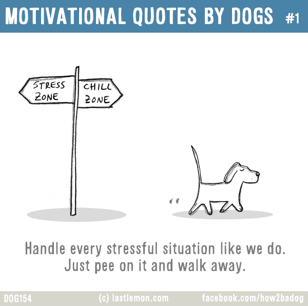 Dogs...: MOTIVATIONAL QUOTES BY DOGS #1: Handle every stressful situation like we do. Just pee on it and walk away.