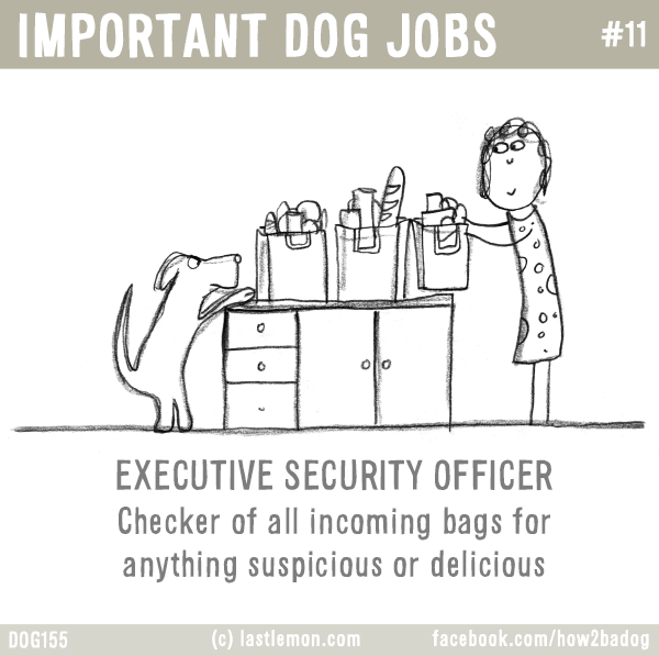 Dogs...: IMPORTANT DOG JOBS #11: EXECUTIVE SECURITY OFFICER - Checker of all incoming bags for anything suspicious or delicious
