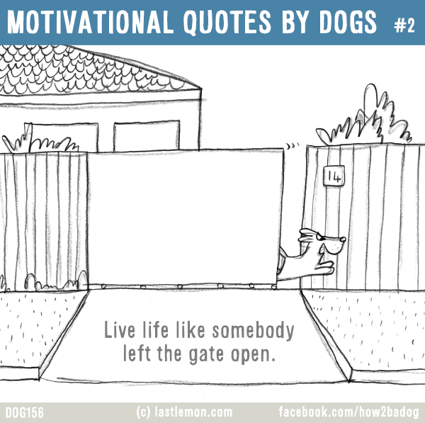 Dogs...: MOTIVATIONAL QUOTES BY DOGS #2: Live life like somebody 
left the gate open.