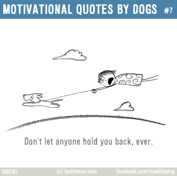 Dogs...: MOTIVATIONAL QUOTES BY DOGS #7: Don't let anyone hold you back, ever.
