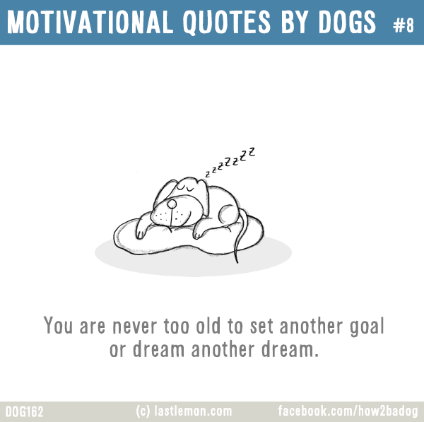 Dogs...: MOTIVATIONAL QUOTES BY DOGS #8: You are never too old to set another goal or dream another dream.