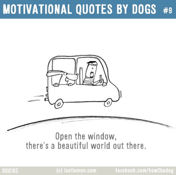 Dogs...: MOTIVATIONAL QUOTES BY DOGS #9: Open the window, there's a beautiful world out there.
