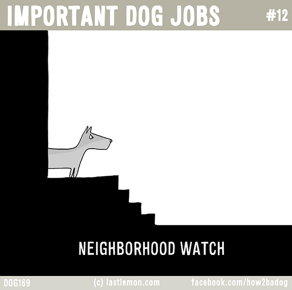 Dogs...: IMPORTANT DOG JOBS: NEIGHBORHOOD WATCH