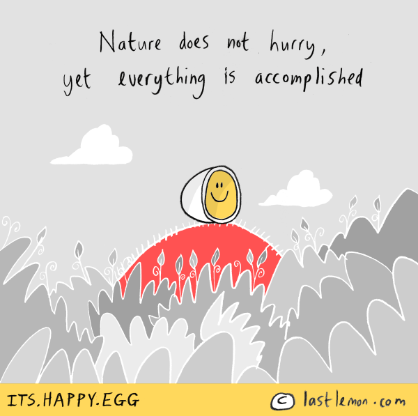 Happy Egg: Nature does not hurry, yet everything is accomplished
