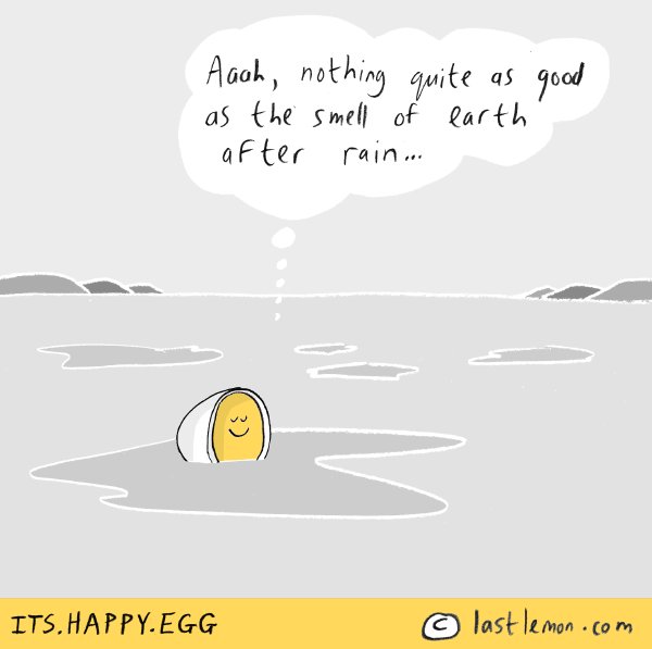 Happy Egg: Aaah, nothing quite as good as the smell of earth after rain