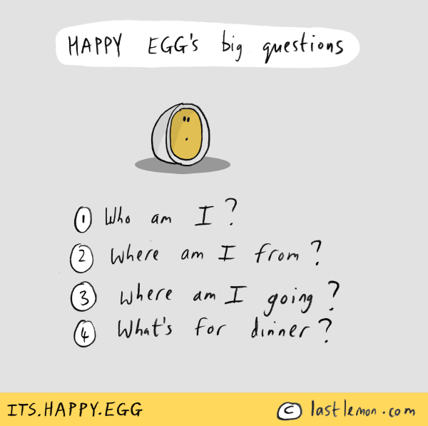 Happy Egg: Happy Egg's questions