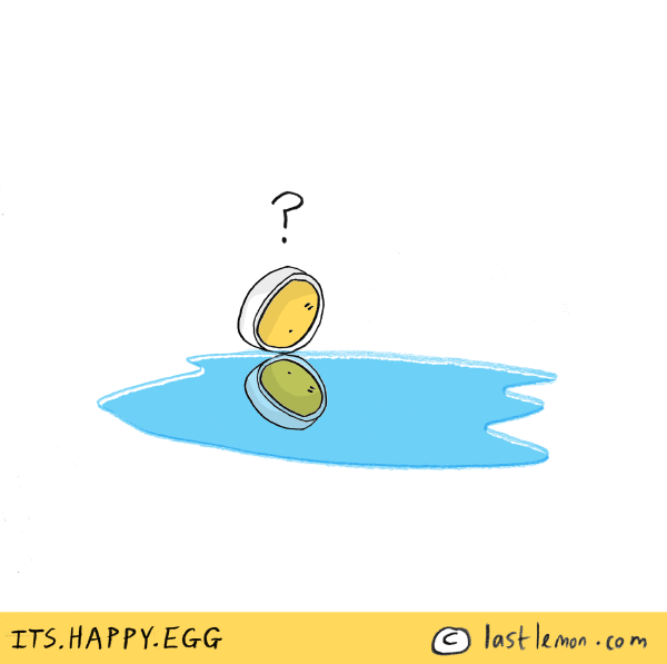 Happy Egg: Reflection