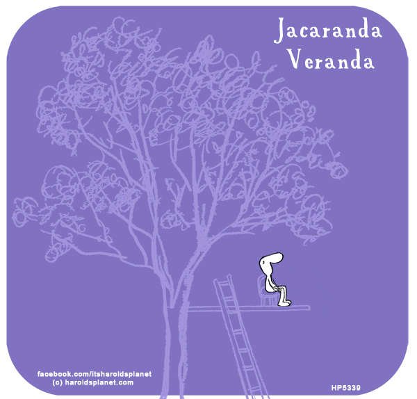 Harold's Planet: Jacaranda veranda