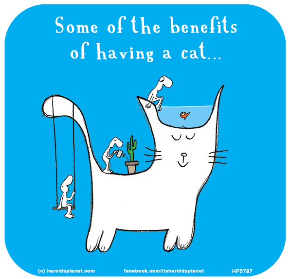 Harold's Planet: Some of the benefits of having a cat...
