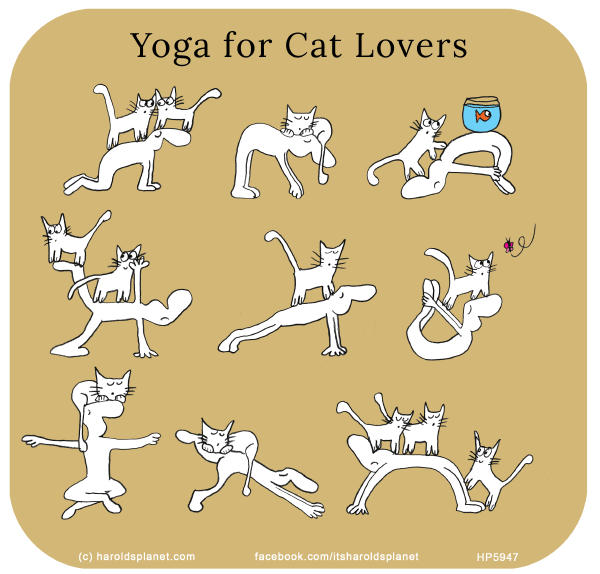 Harold's Planet: Yoga for Cat Lovers