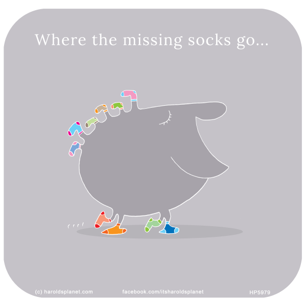 Harold's Planet: Where the missing socks go...